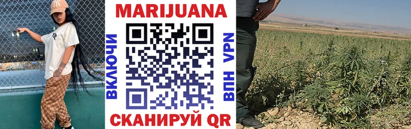 Канабис OG Kush  Славянск-на-Кубани 